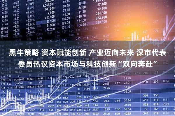 黑牛策略 资本赋能创新 产业迈向未来 深市代表委员热议资本市场与科技创新“双向奔赴”