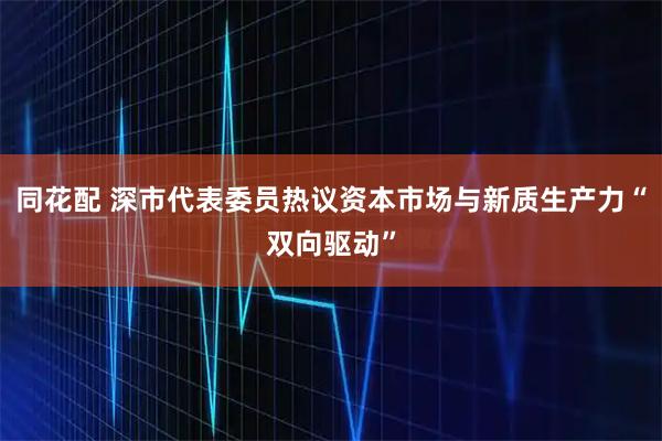 同花配 深市代表委员热议资本市场与新质生产力“双向驱动”