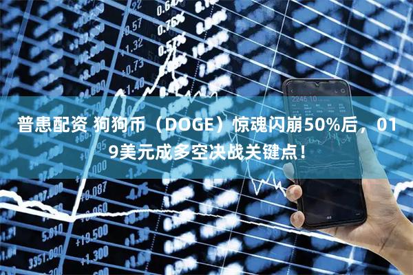 普患配资 狗狗币（DOGE）惊魂闪崩50%后，019美元成多空决战关键点！