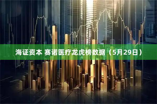 海证资本 赛诺医疗龙虎榜数据（5月29日）